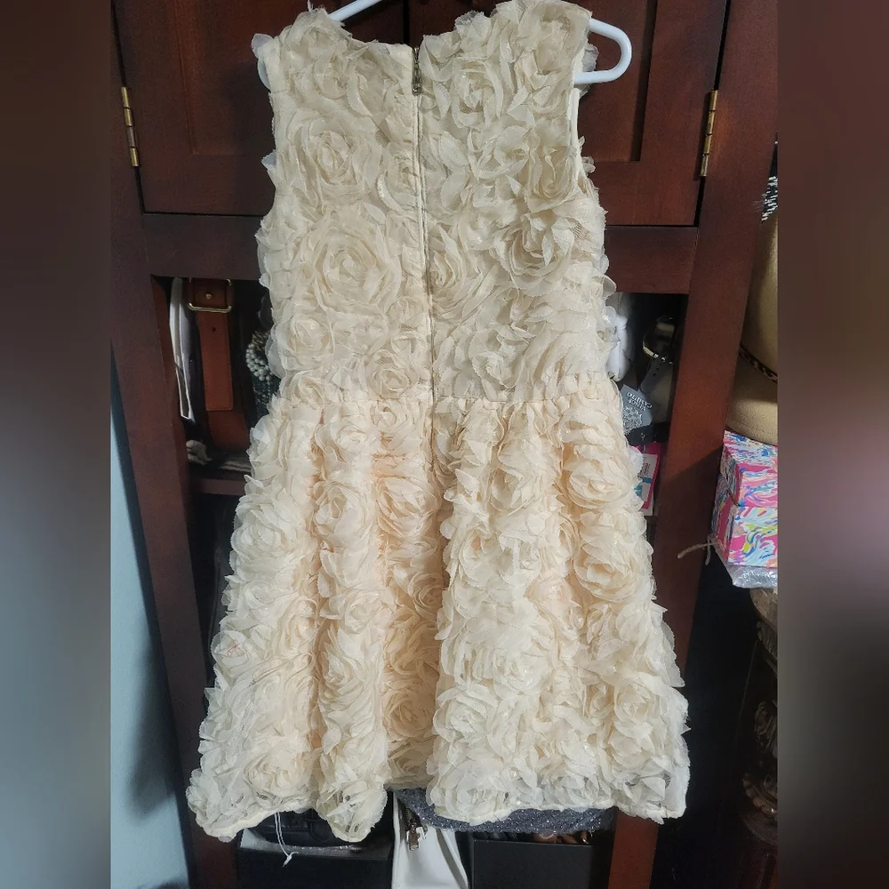 Flower Girl Dress, Roses Gold , PartyDres size 8 - Picture 9 of 14
